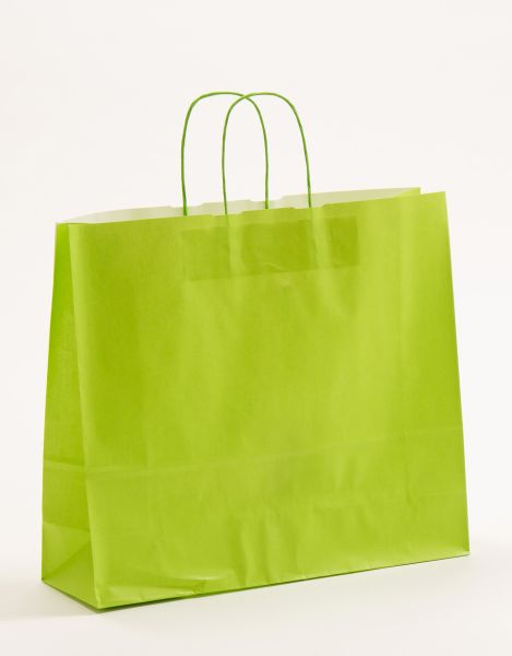 Papiertasche mit gedrehtem Papiergriff Uni Hellgrün 42 x 37 + 13cm